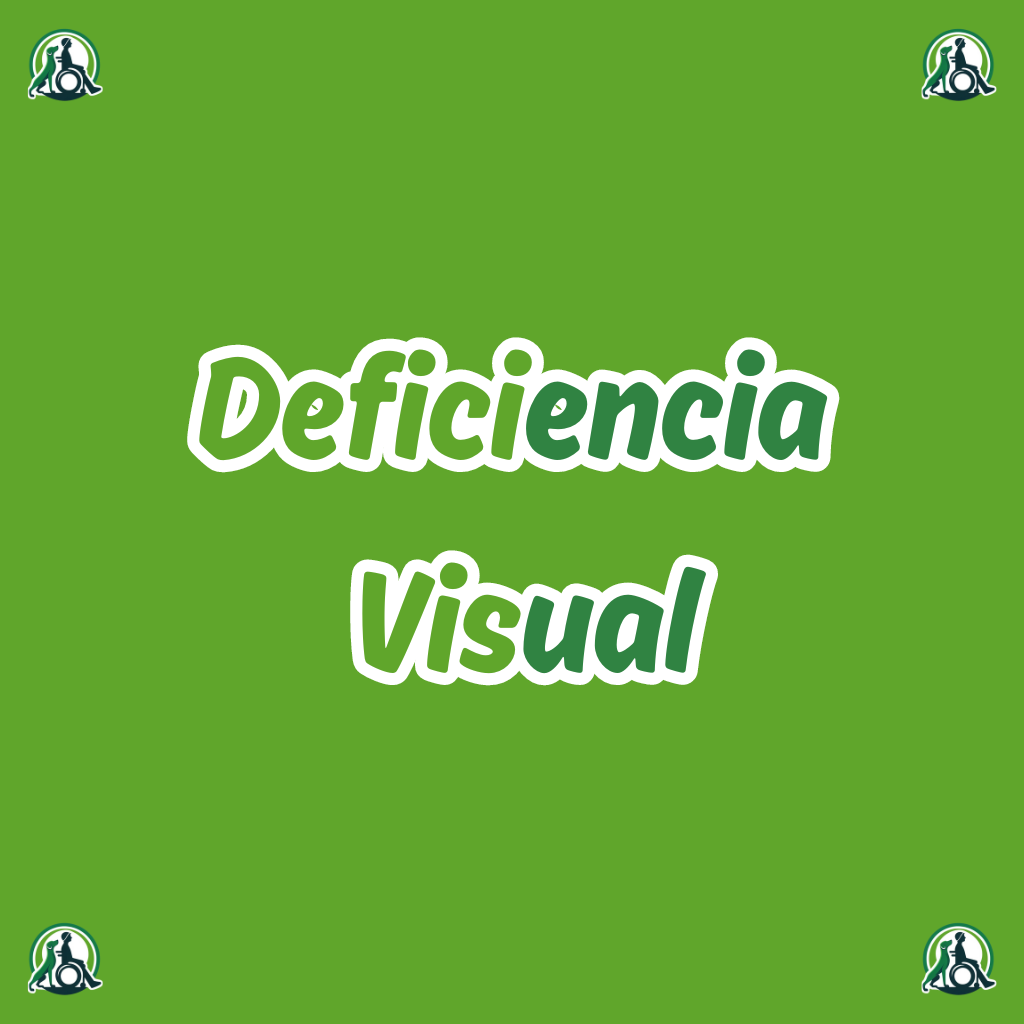 Deficiencia Visual
